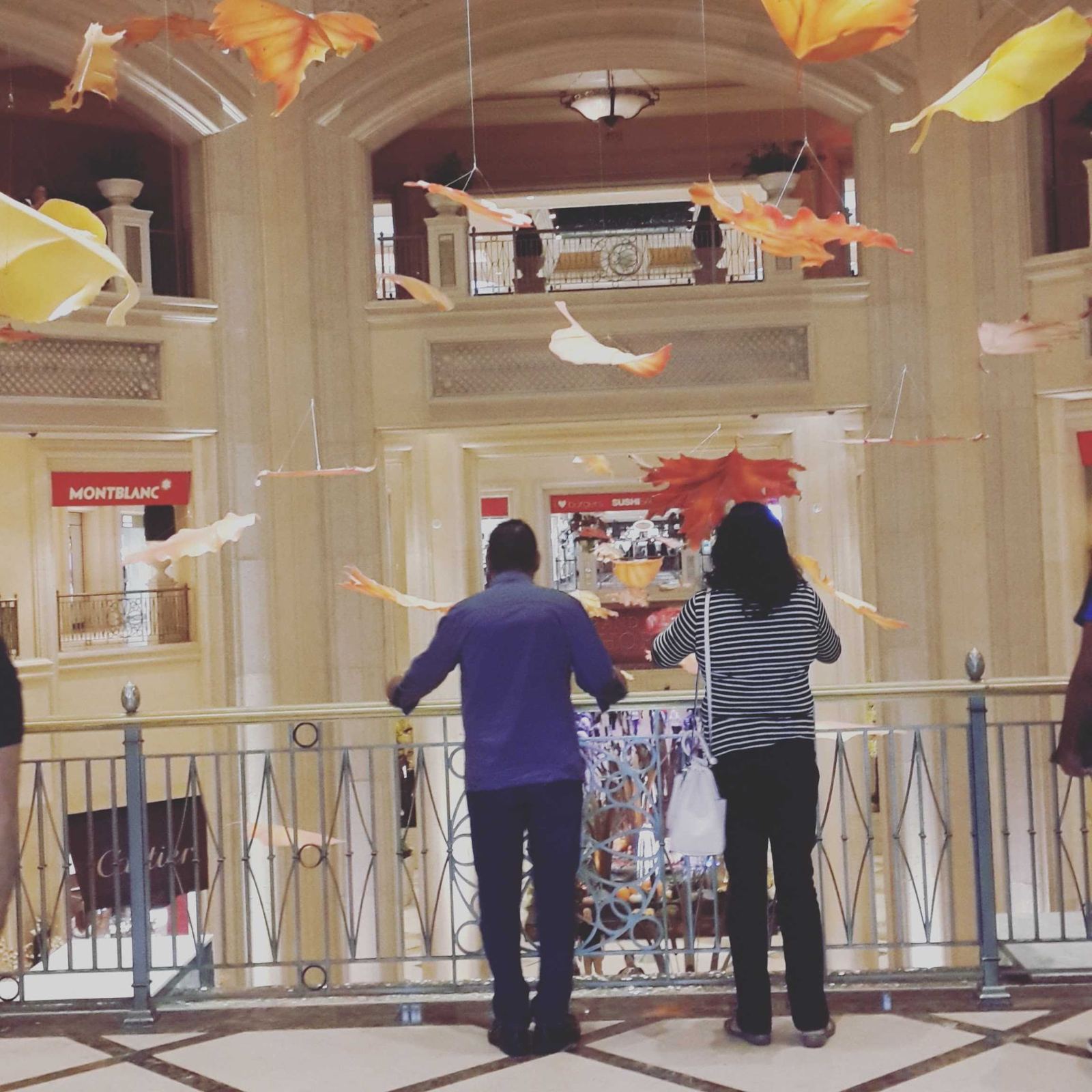 Watching the autumn leaf display together