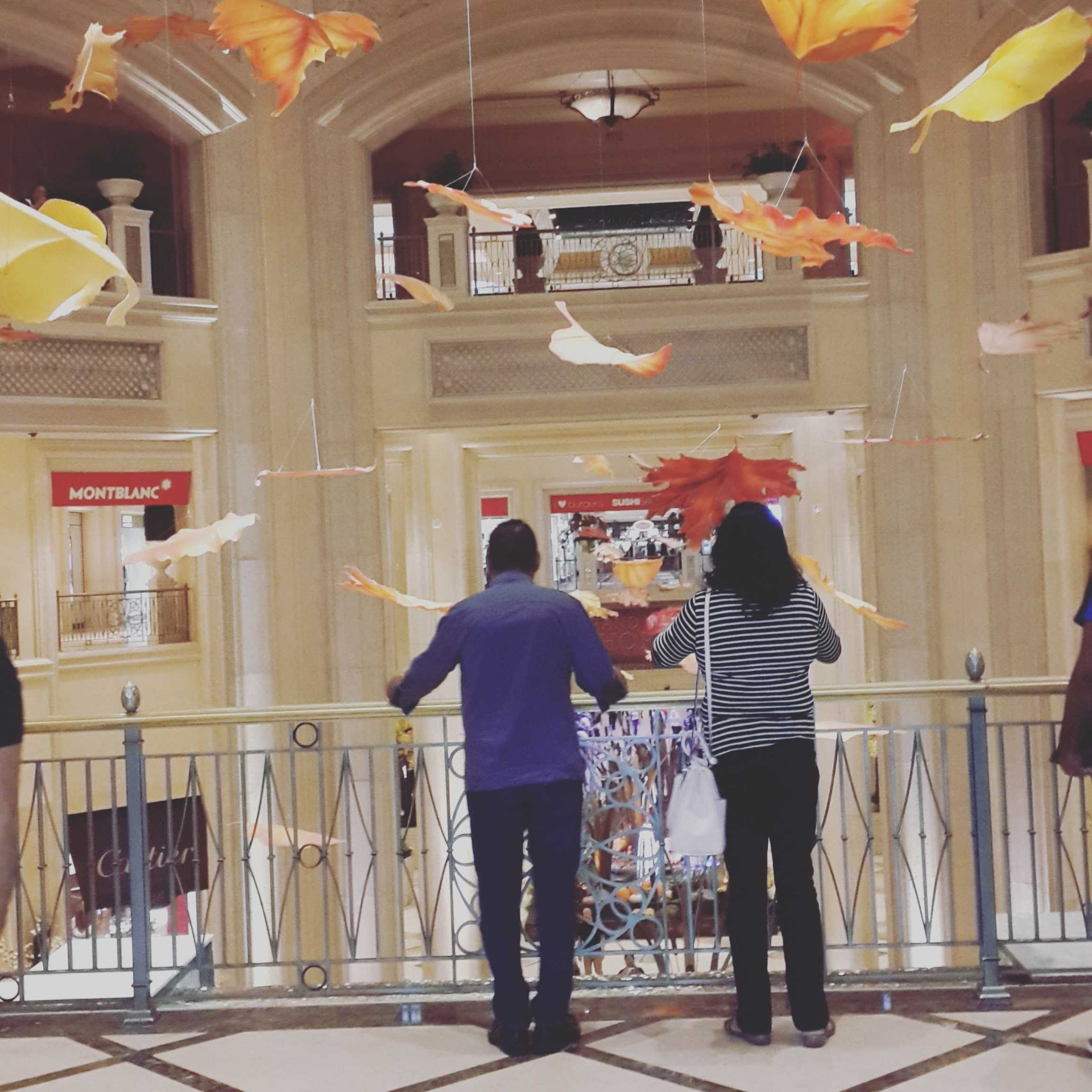 Watching the autumn leaf display together